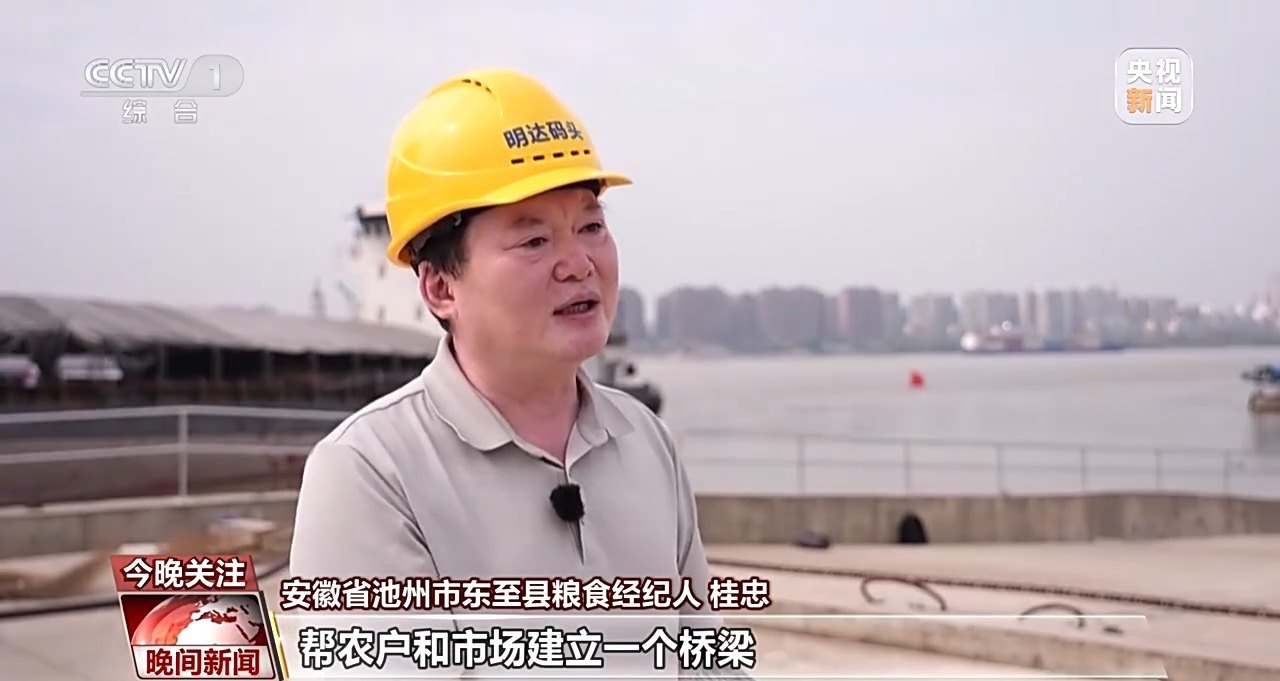 长江上的“小麦物流员” 让新麦沿黄金水道奔赴天南海北